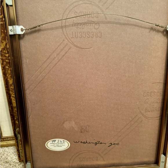 Black & White Framed Panda Print - Picture 2 of 8